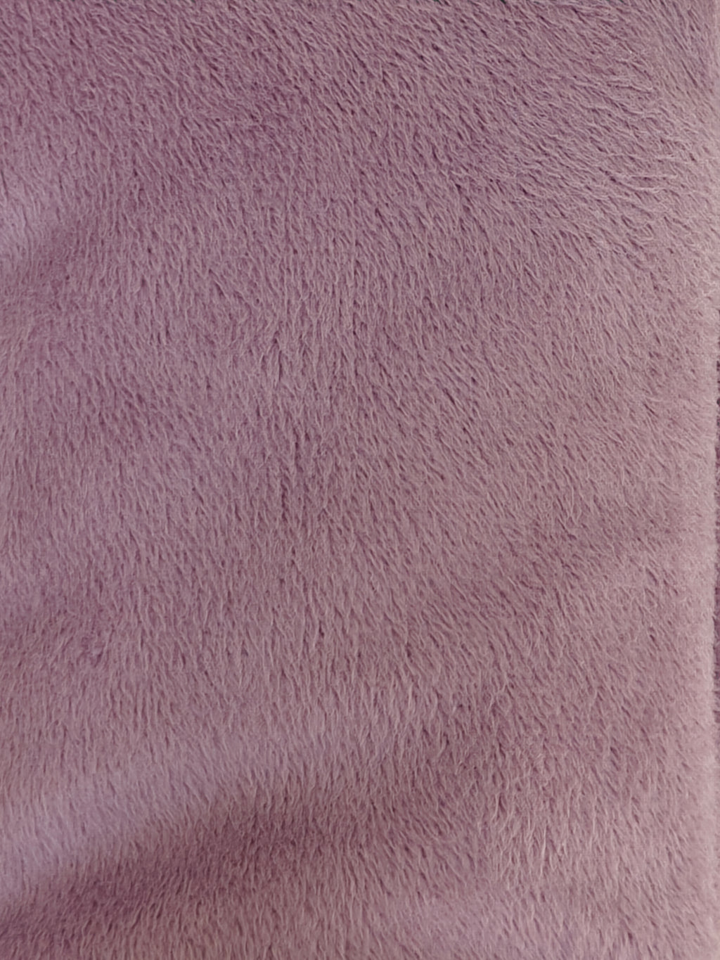 Malva
