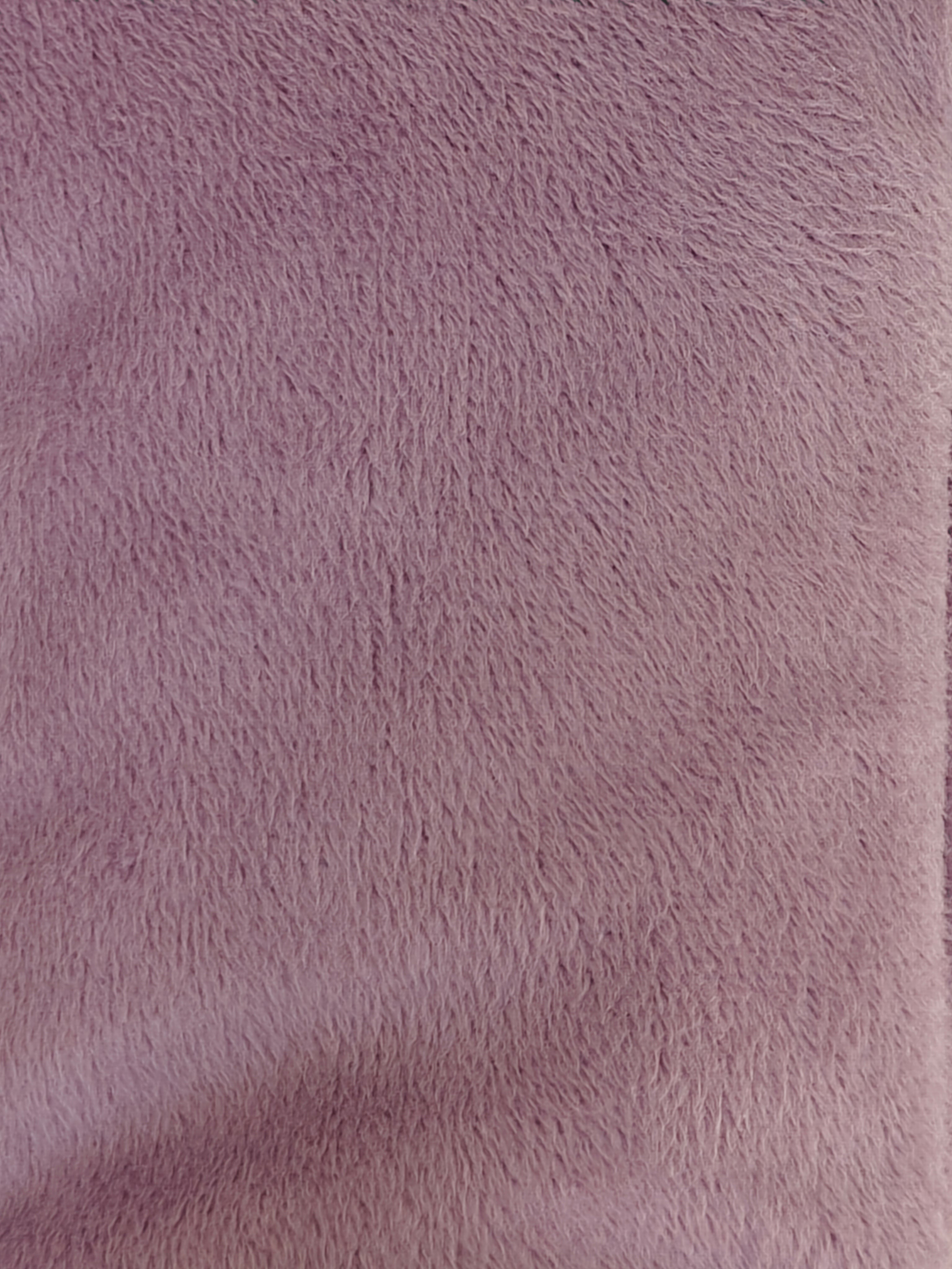 Malva