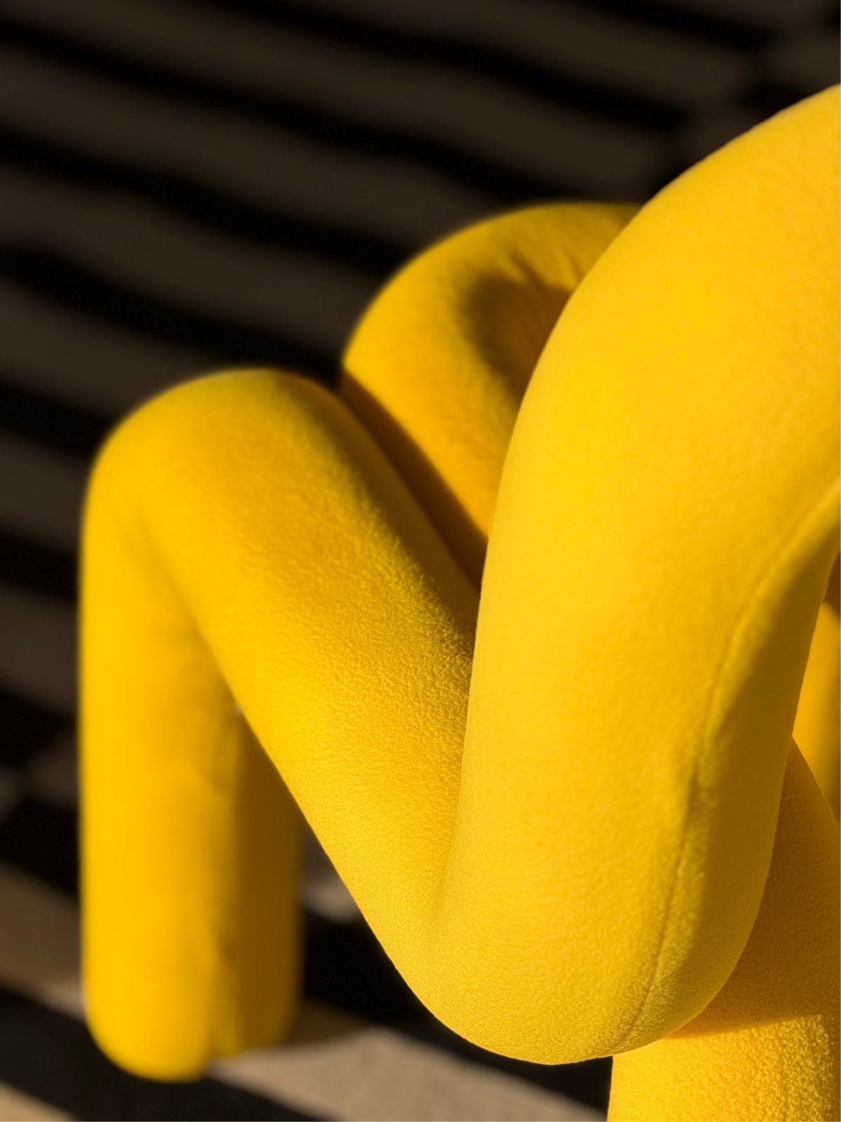 Amarillo patito